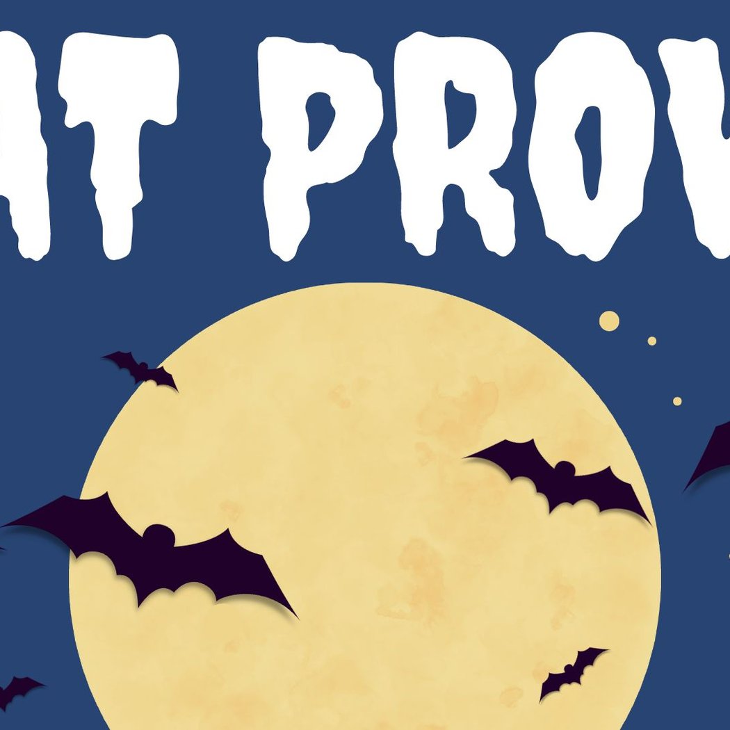 Bat Prowl 1